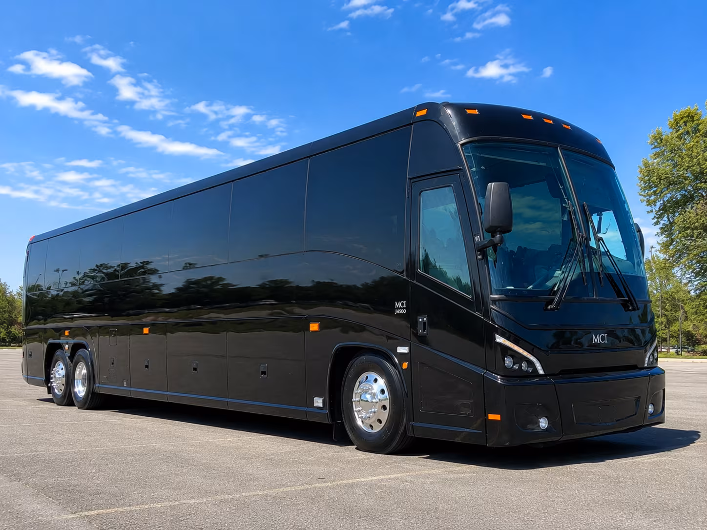 bridal party sprinter vans and limo buses along pacific coast highway
